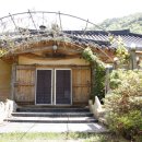 한빛건강원 이미지