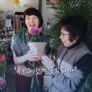 곡목경로당 네이버블로그