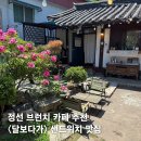 강원특별자치도 정선군청 소회의실 | 정선읍 브런치 맛집 달보다가 샌드위치 랩샌드위치 후기