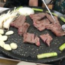 한우암소생고기