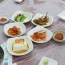 숲속에 바다 이미지