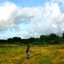 지성목장 이미지