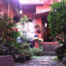 들꽃밥상 이미지