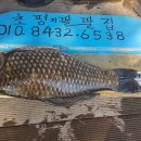 초평낚시터 이미지