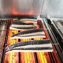 서파장어랜드 이미지