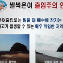 망도 Daum백과