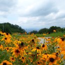 매봉산 정상 이미지