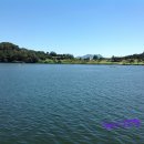 목계주유소 이미지