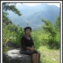 신선농원 이미지