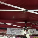 칠성시장역 | 대구 칠성시장 야장 맛집 추천| SNS에서 입소문 난 해산물 포차 희준이네