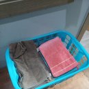 스피드복싱클럽 이미지