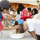 창포마을 이미지