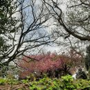 게으른 반달 이미지