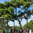 한티님 리딩 - 양천향교에서 서울식물원 까지 후기 (단체사진) 이미지