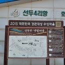 선두4리항 이미지