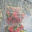 주몽농장 이미지