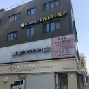 (주)자양 | 자양동미용실 후기 플랜에이치 자양점 상한머리 고민시 추천