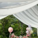 그린카펫 이미지