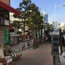 영도다리목생약건재상거리 티스토리