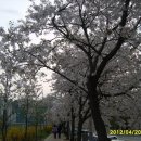 충훈2교 옆 이미지