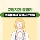 닥터지치과의원 | 서울특별시 송파구 문정동 교정치과 총정리