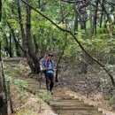 도시 속 숲길·들길·황토길…서울의 숨은 보석 찾아 떠나요 이미지