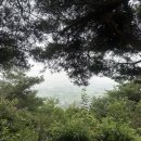 우황사골칼국수