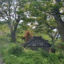 대항마을 이미지