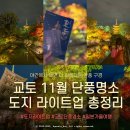 (야간)홈메이드 카페 쌀디저트(11월) | 교토 11월 단풍명소 여행 | 도지 라이트업 야간개장 총정리 (시간·입장료·포토존)