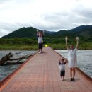 고달리다리 이미지