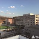국제건설종합학원