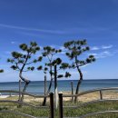 속초 브루스타 이미지