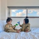 경주차경이벤트풀빌라단체펜션 | 경주펜션 아이랑 가기좋은 더진현 풀빌라