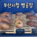 씨유(CU) 양정하이웰점 | 부산시청빵집 양정빵집 병아리만쥬가 있는 빵공장