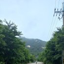 방주농원펜션 이미지