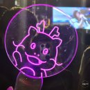 전동시민스포츠센터 | 2024 용인포은아트홀 가을밤 콘서트 조아용 응원봉