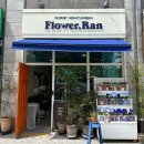 시댁홍삼