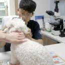 매탄동물병원 이미지