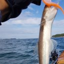 선촌항 여객터미널 이미지