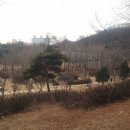 주말공원 네이버블로그