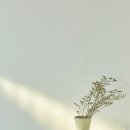 도우미청소 네이버블로그
