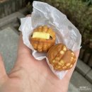 호두언니 이미지