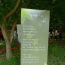 서해막걸리 이미지