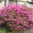 인천산업용품유통센터 이미지