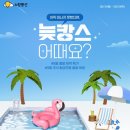 노랑풍선 뉴스1