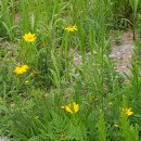 이대로행정사 이미지