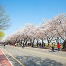 국회사무처부속의원 이미지