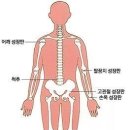 청담탑정형외과의원 이미지