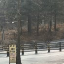 칠곡중앙대로 주유소 이미지