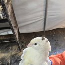 율하농장 이미지